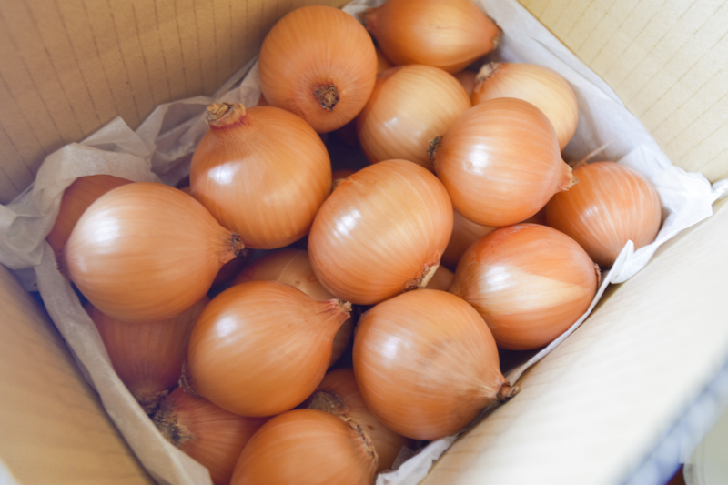 ＜再入荷待ち＞ 有機栽培 小玉ねぎ｜2kg (30〜40個)