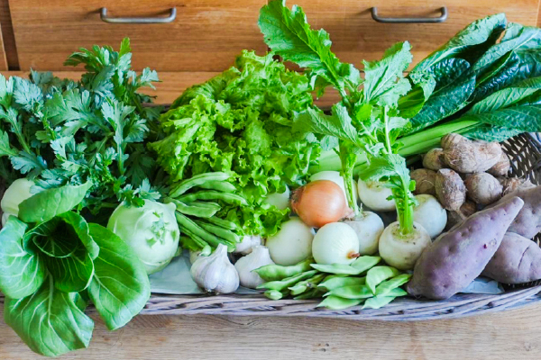 有機栽培 南阿蘇の旬野菜セット