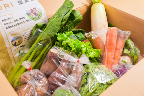 有機栽培 南阿蘇の旬野菜セット