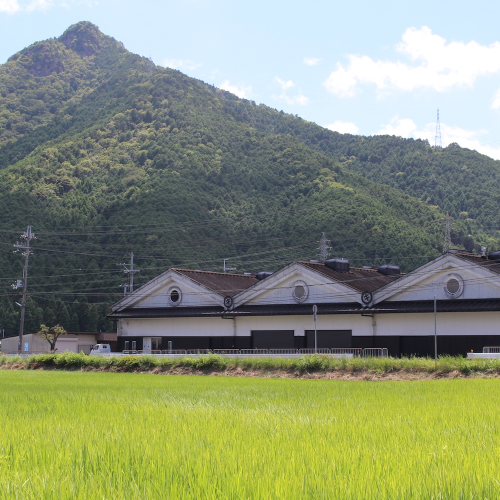 国産有機醤油使用 だししょうゆ｜200ml
