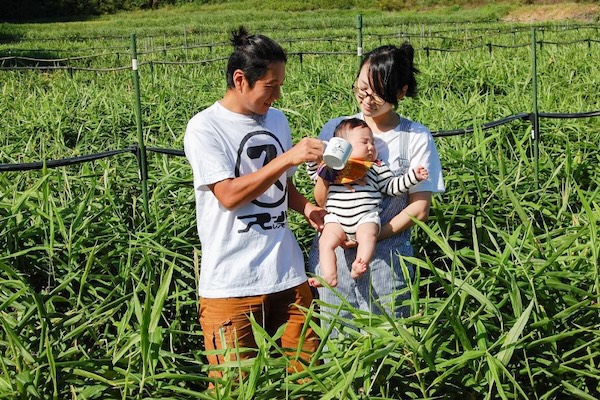 栽培期間中農薬不使用 じゃがいも 4種食べ比べセット｜3.2kg