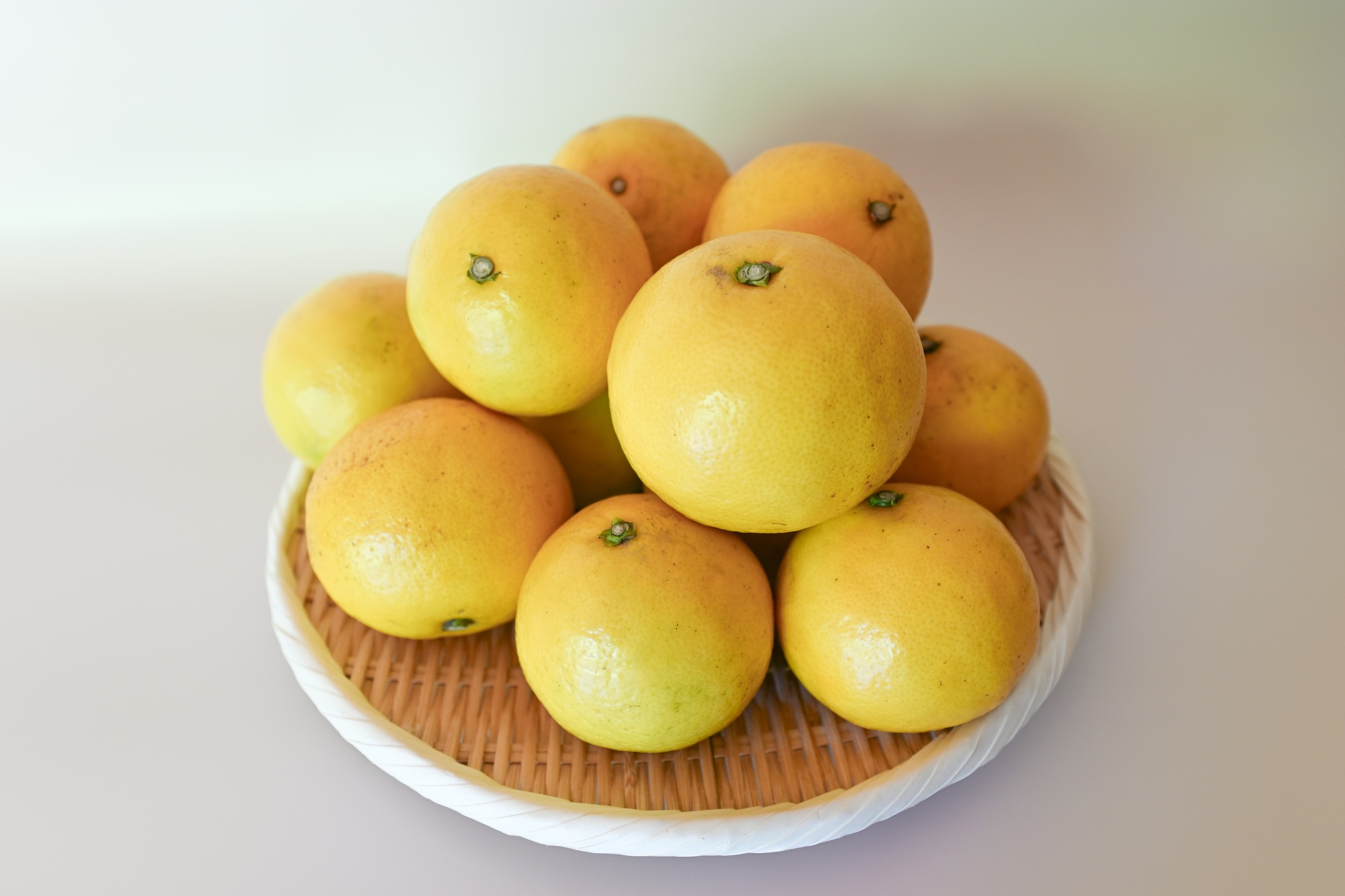 ＜再入荷待ち＞ 樹上完熟 日向夏｜10kg