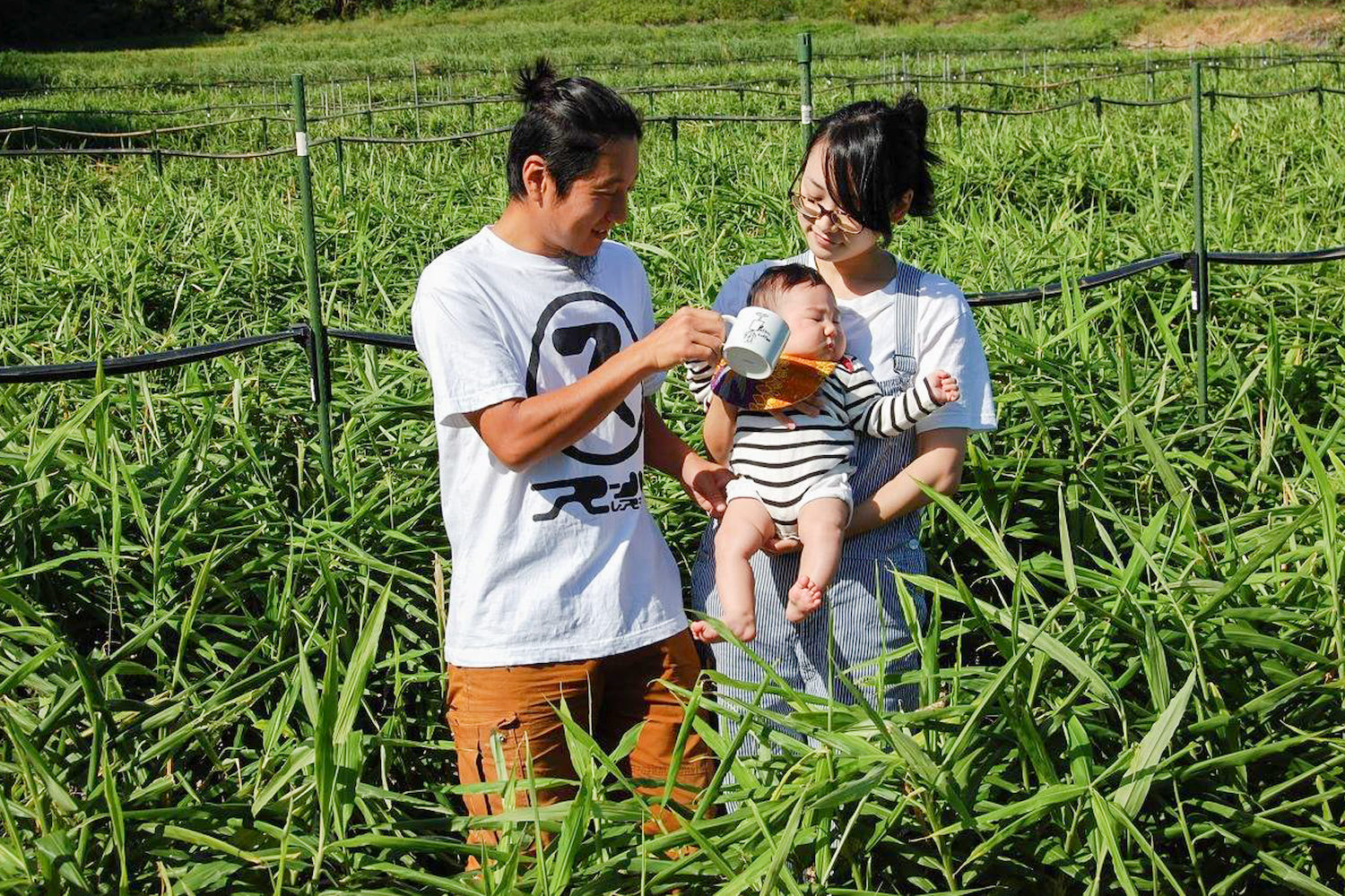 栽培期間中農薬不使用 じゃがいも 「ニシユタカ」｜3kg