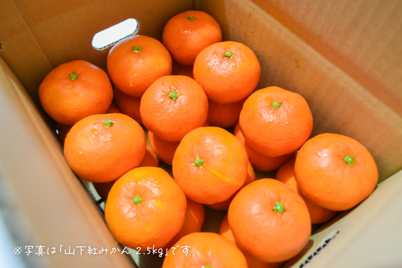 ＜再入荷待ち＞ 特別栽培 南津海(なつみ)みかん｜5kg