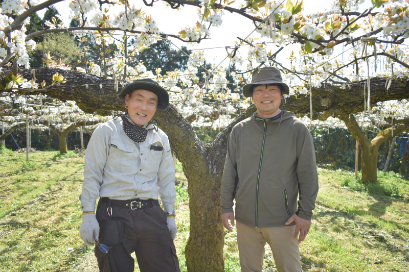 無添加 梨にんじんジュース｜1本
