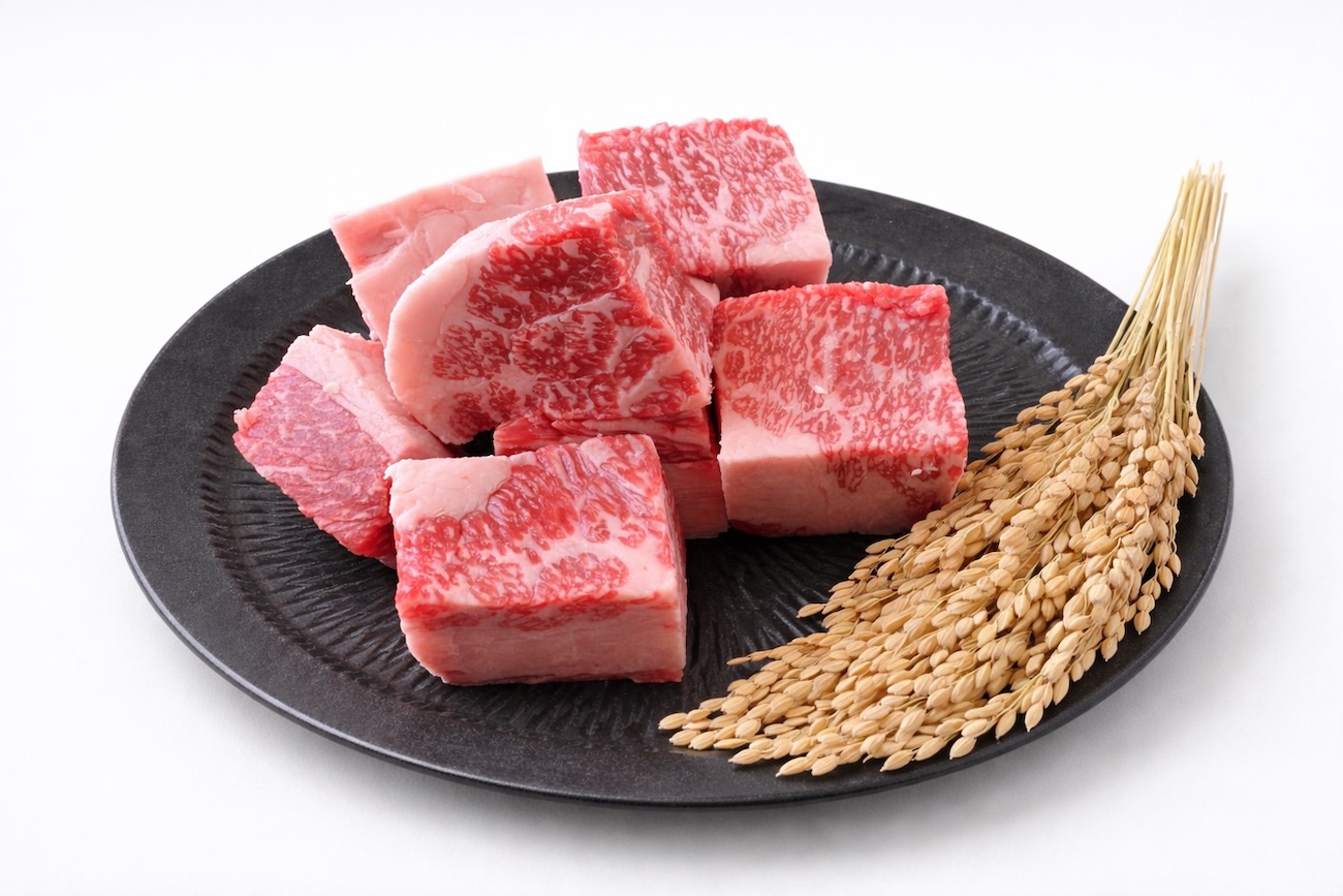 【月替わりおまかせ】お肉と旬野菜・フルーツの詰め合わせ ONIKU BOX｜Lサイズ