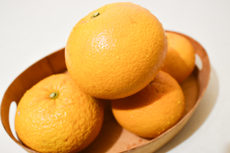 ＜再入荷待ち＞ 有機栽培 甘夏｜12〜15個