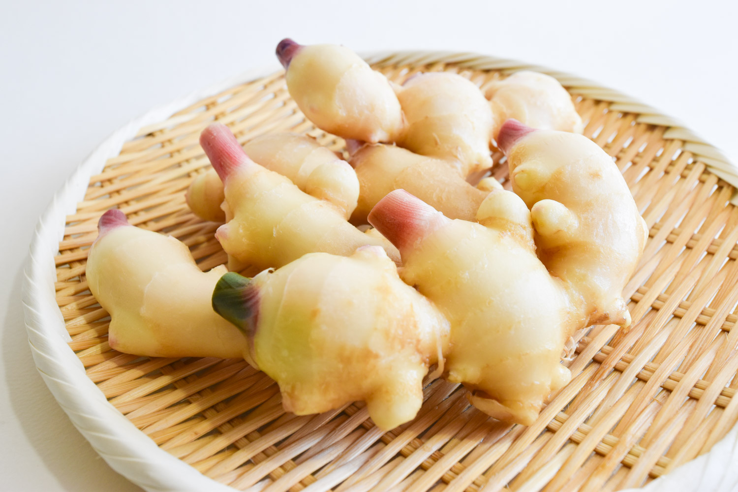 ＜再入荷待ち＞ 有機栽培 新生姜｜500g