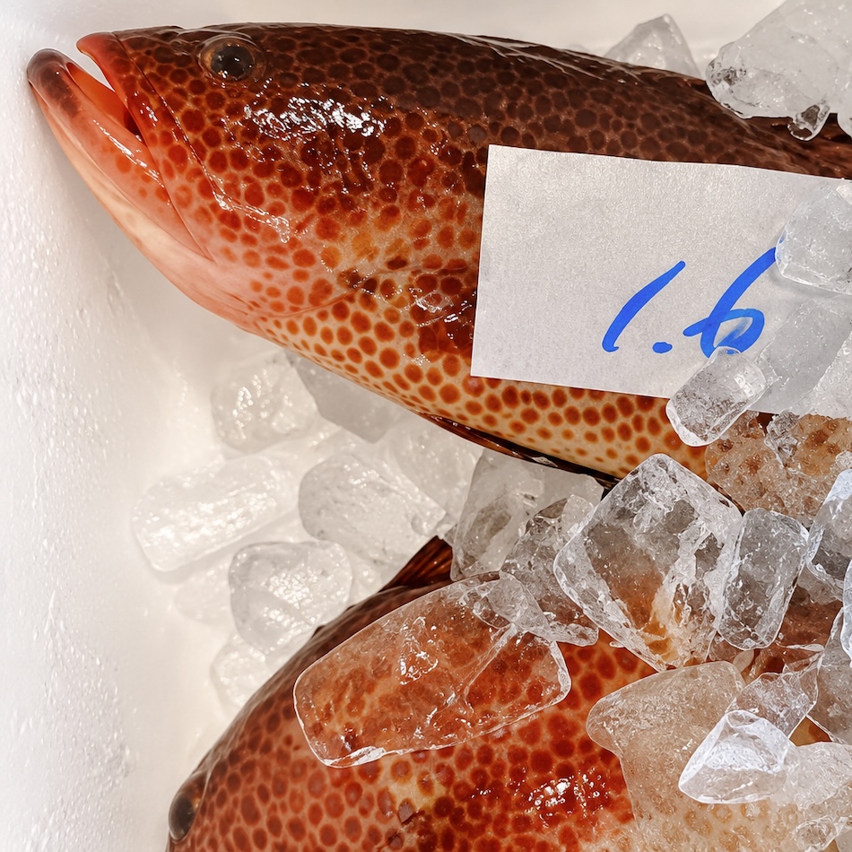 季節の天然魚 昆布〆｜1パック（75g）
