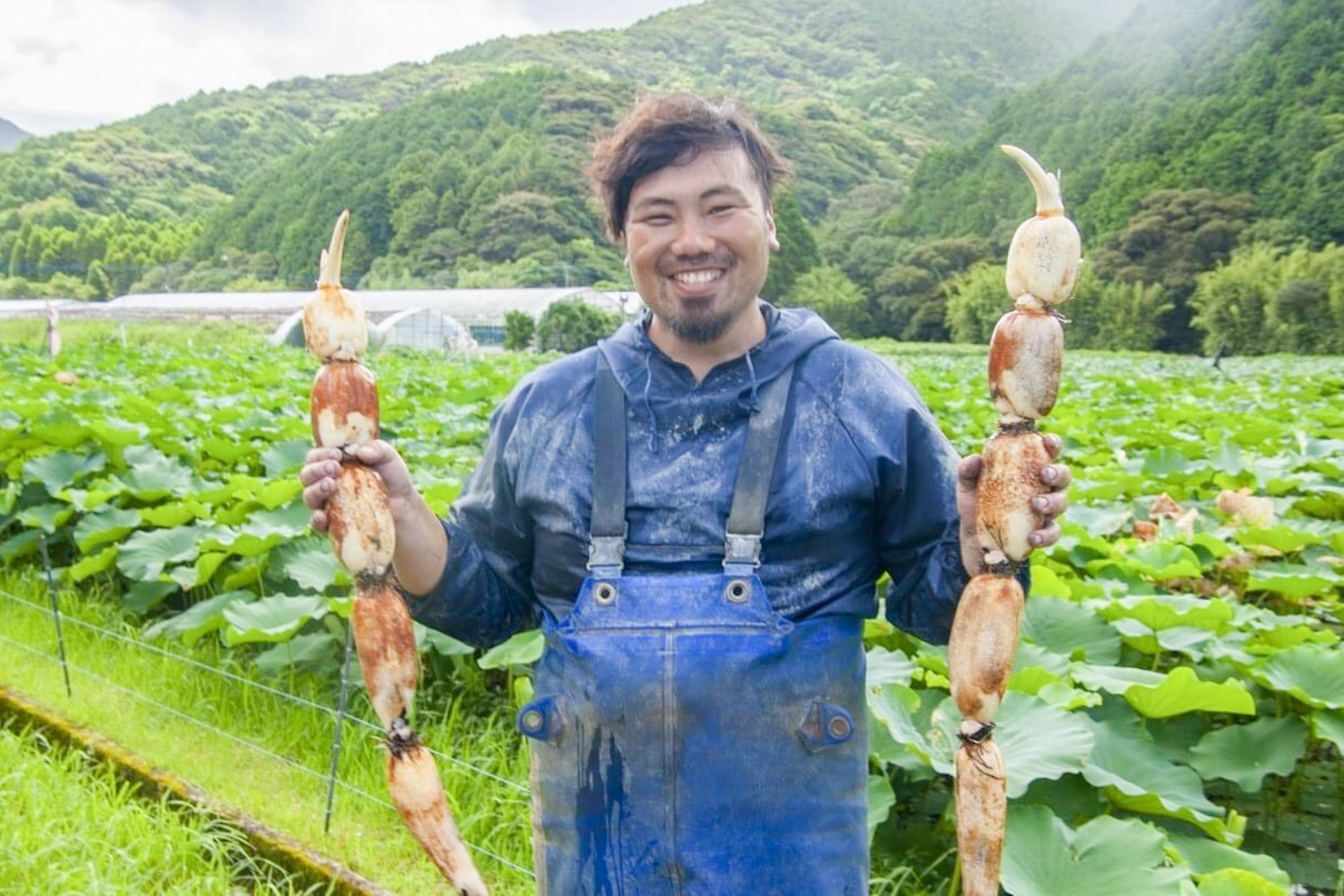 ＜再入荷待ち＞ 特別栽培 蓮根｜2kg