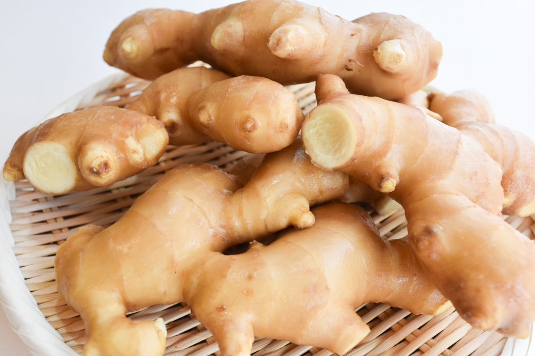 有機栽培 生姜｜1kg