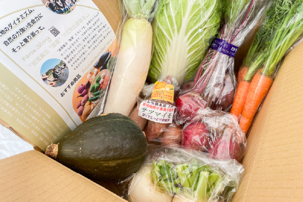 有機栽培 糸島の旬野菜セット｜M