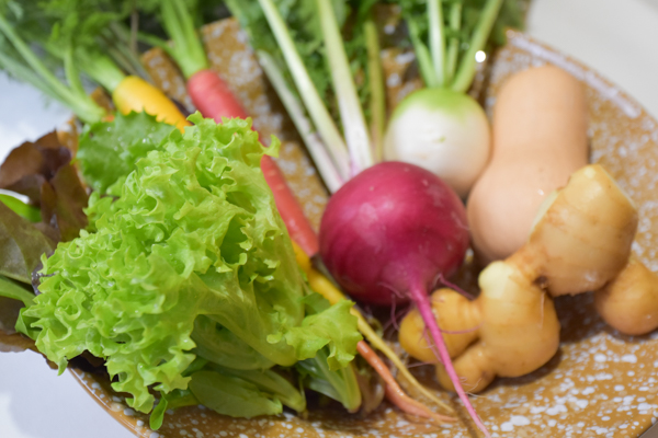 ＜再入荷待ち＞ 有機栽培 糸島の冬野菜セット｜Mサイズ