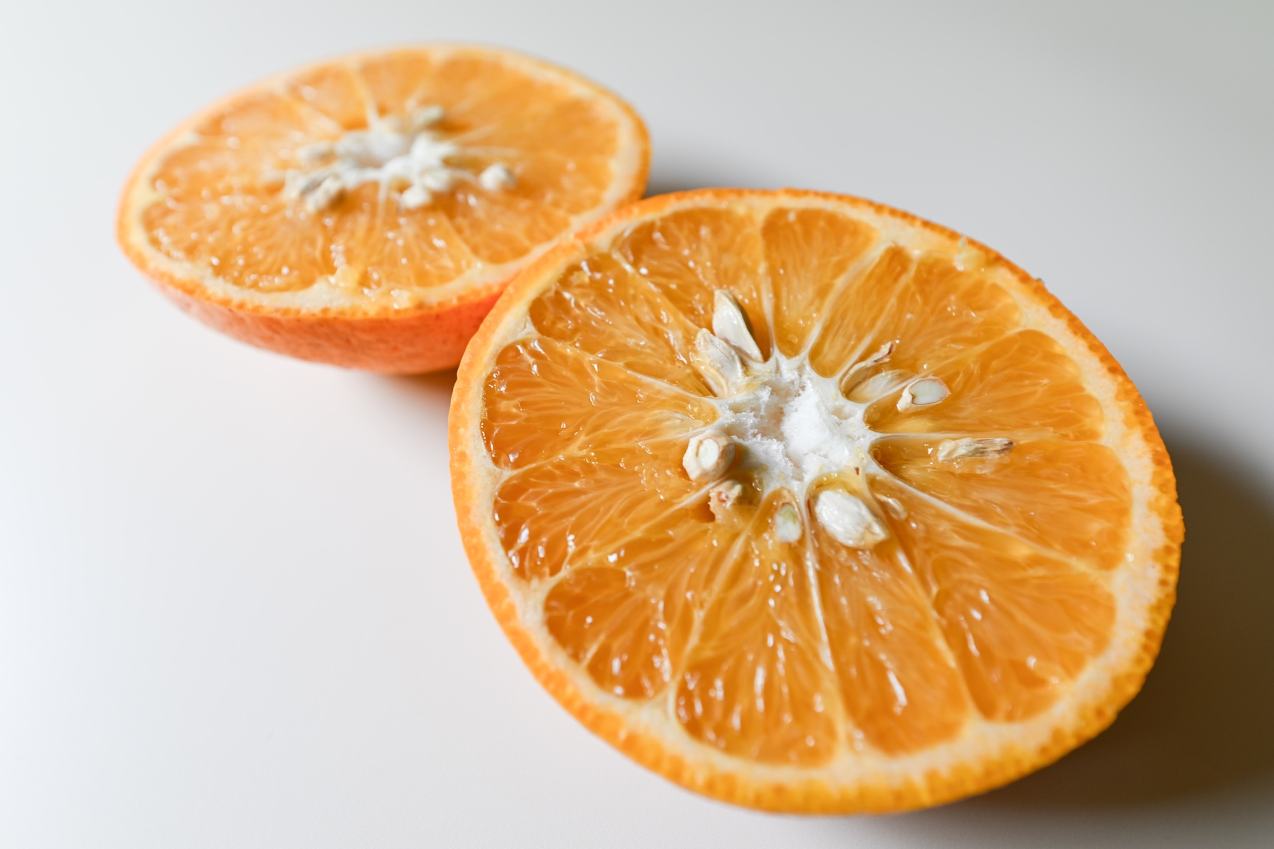 ＜再入荷待ち＞ 自然栽培 紅甘夏 規格外｜5kg