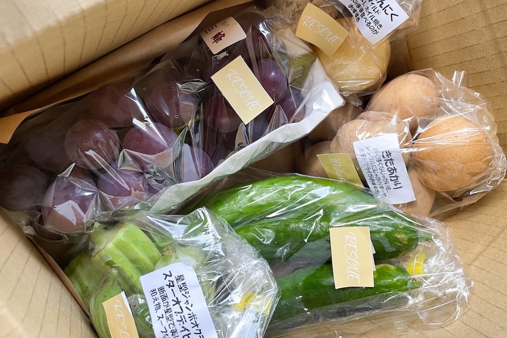 【訳あり】ふぞろいの実りをいただく RESCUE BOX