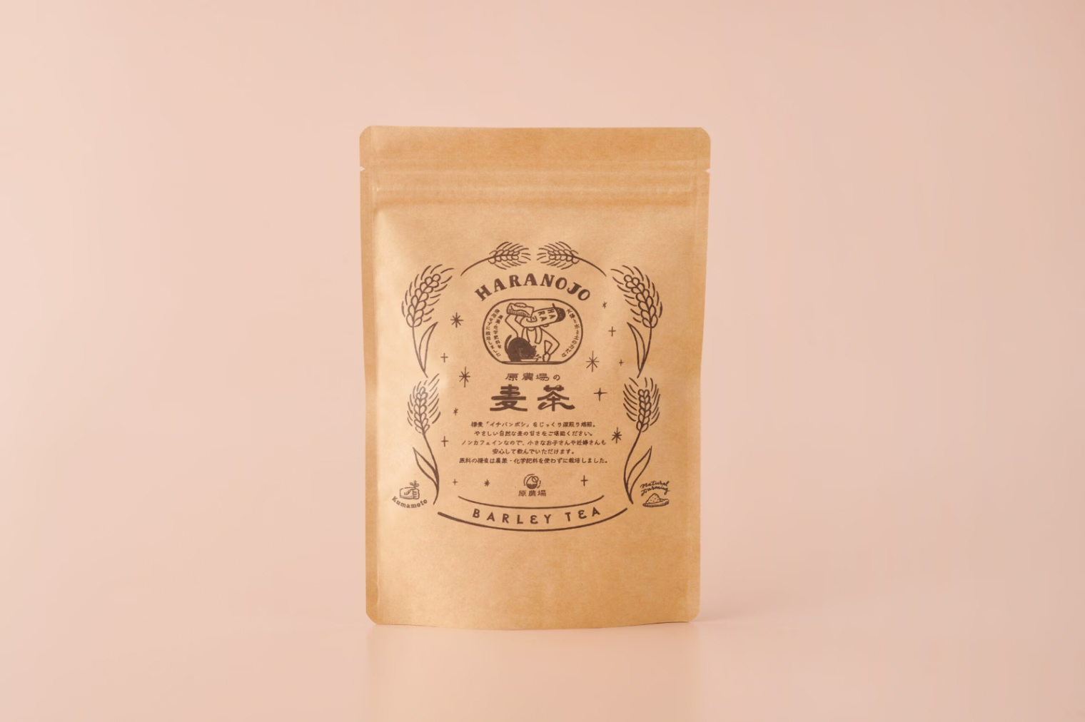 有機栽培麦からつくった水出し麦茶｜120g（10g × 12袋）
