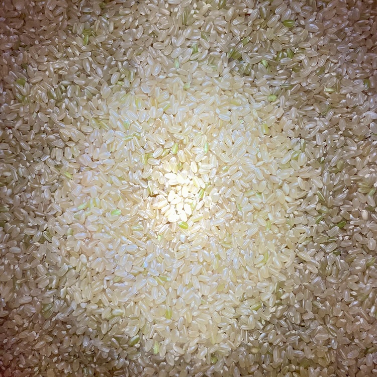 【安心一年便・月1配送】 自然栽培 「ササニシキ」｜7分づき米 3kg