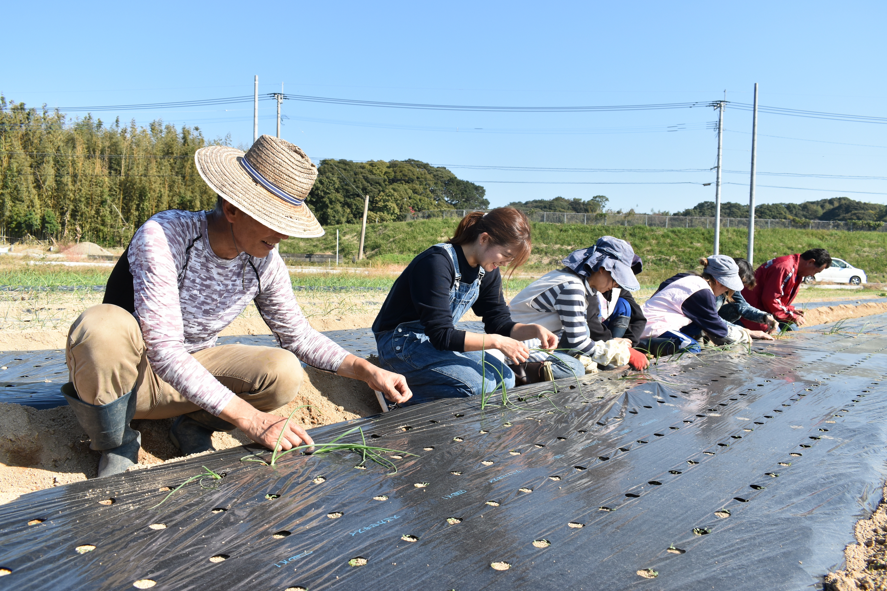 有機栽培 糸島の旬野菜セット｜L
