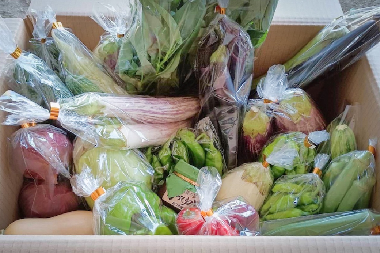 有機栽培 志賀島の旬野菜セット｜Lサイズ