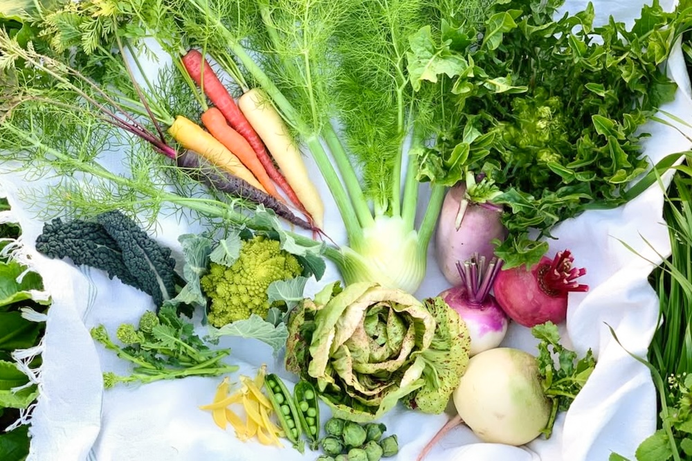 自然栽培 坊津の旬野菜セット｜M