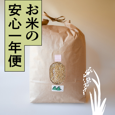 ＜再入荷待ち＞ 【安心一年便・月1配送】 自然栽培 「ぴかまる」 玄米｜30kg