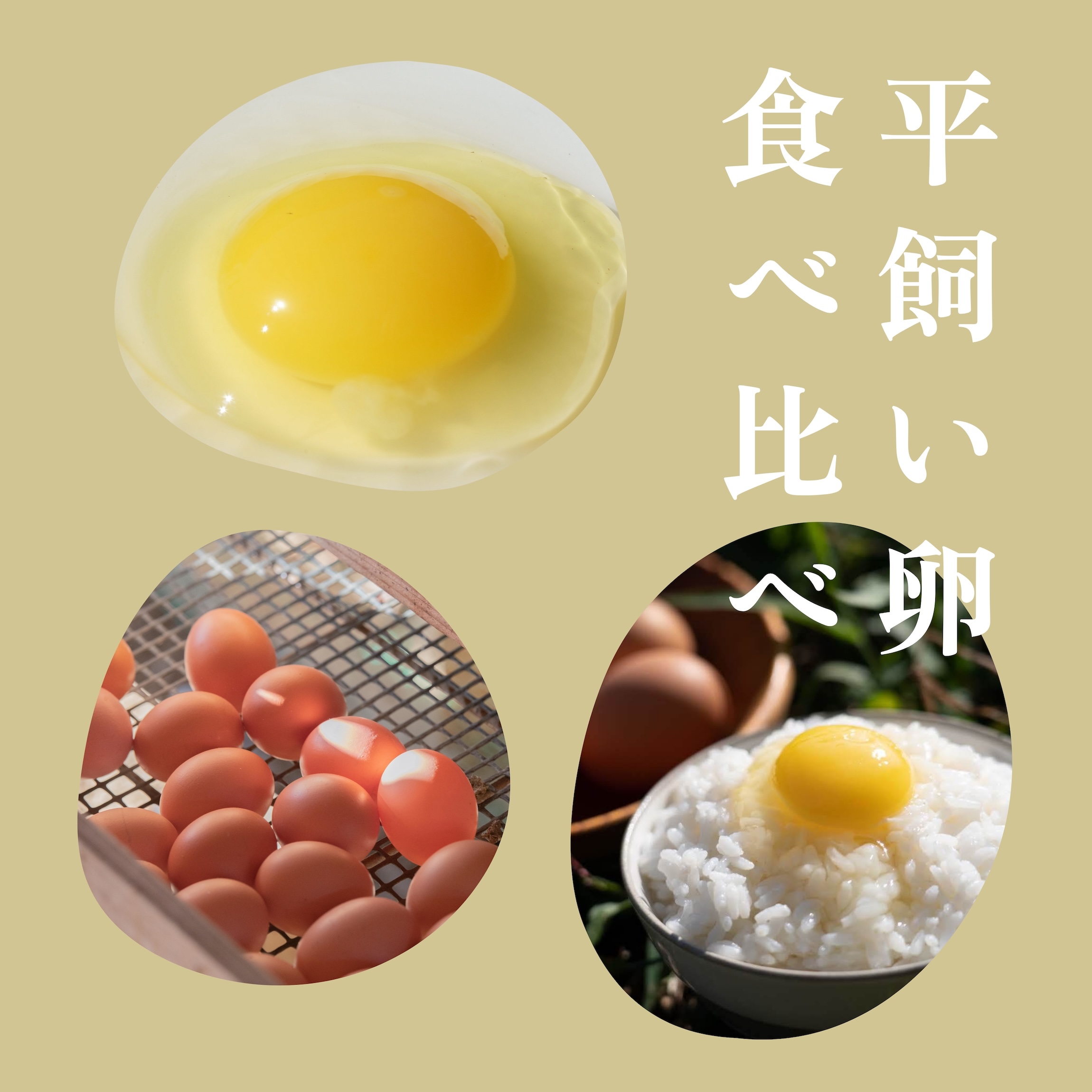 「平飼い卵」3種食べ比べセット