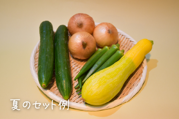 有機栽培 糸島の旬野菜セット｜Sサイズ