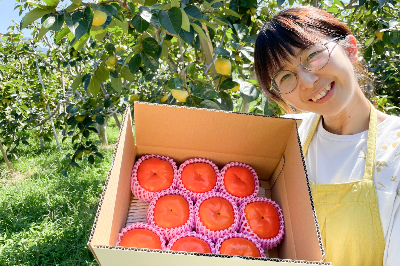 樹上完熟 早秋柿｜5kg