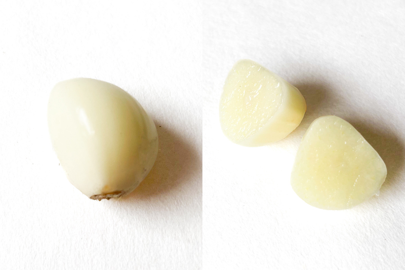 ＜再入荷待ち＞ 有機栽培 にんにく｜500g