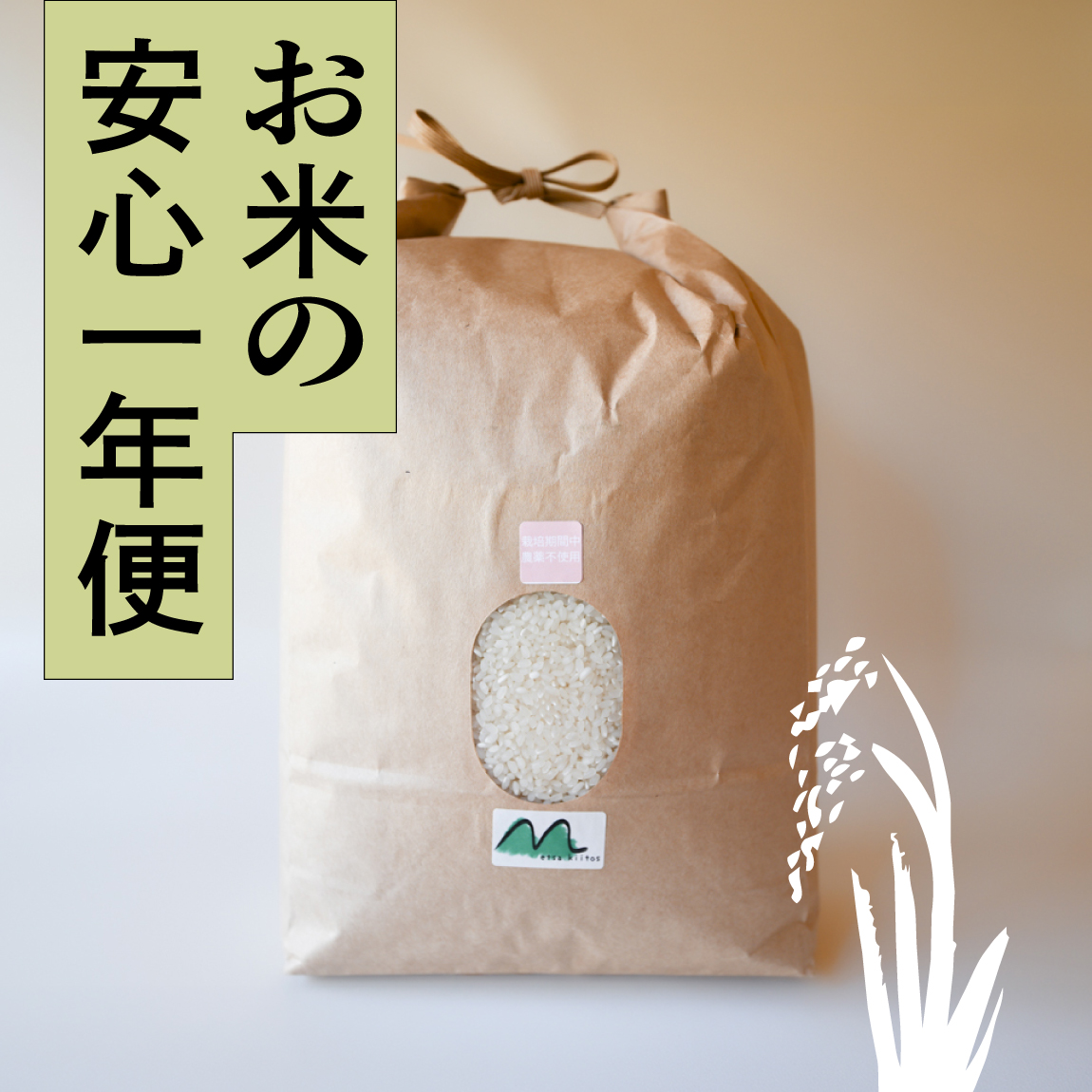 ＜再入荷待ち＞ 【安心一年便・月1配送】 自然栽培 「ぴかまる」 白米｜3kg