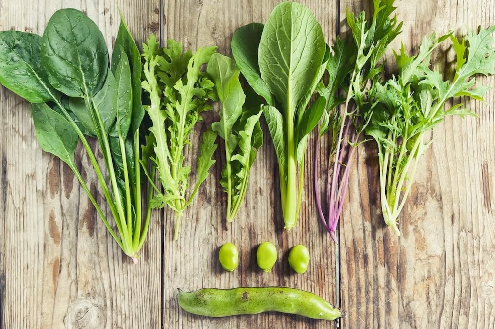 自然栽培 坊津の旬野菜セット｜M