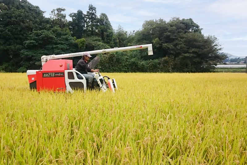 栽培期間中農薬不使用 「ひのひかり」 白米｜10kg