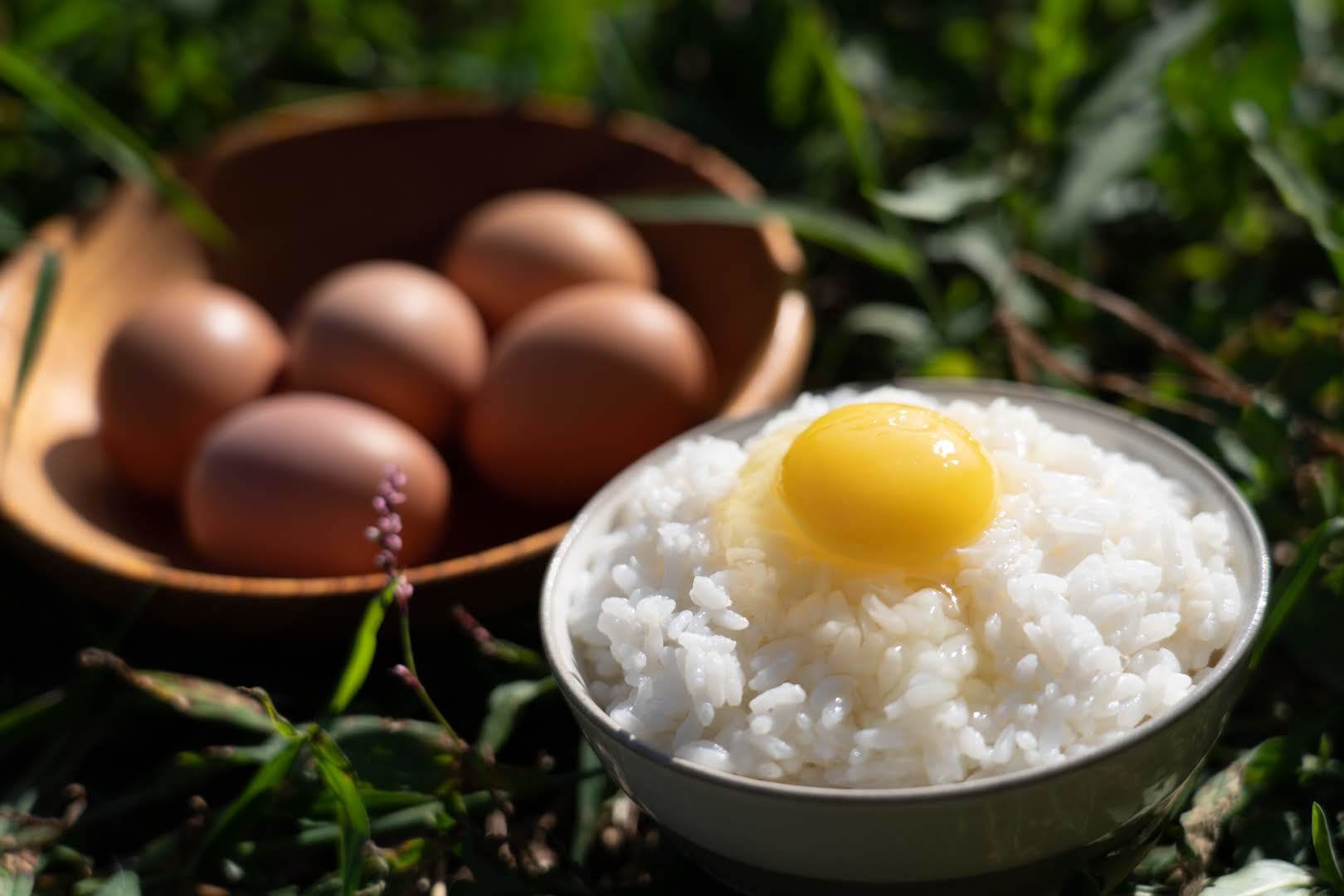 「平飼い卵」2種食べ比べセット