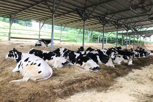 【ご褒美ブランチ】薪窯パン & フルーツのセット｜Lサイズ