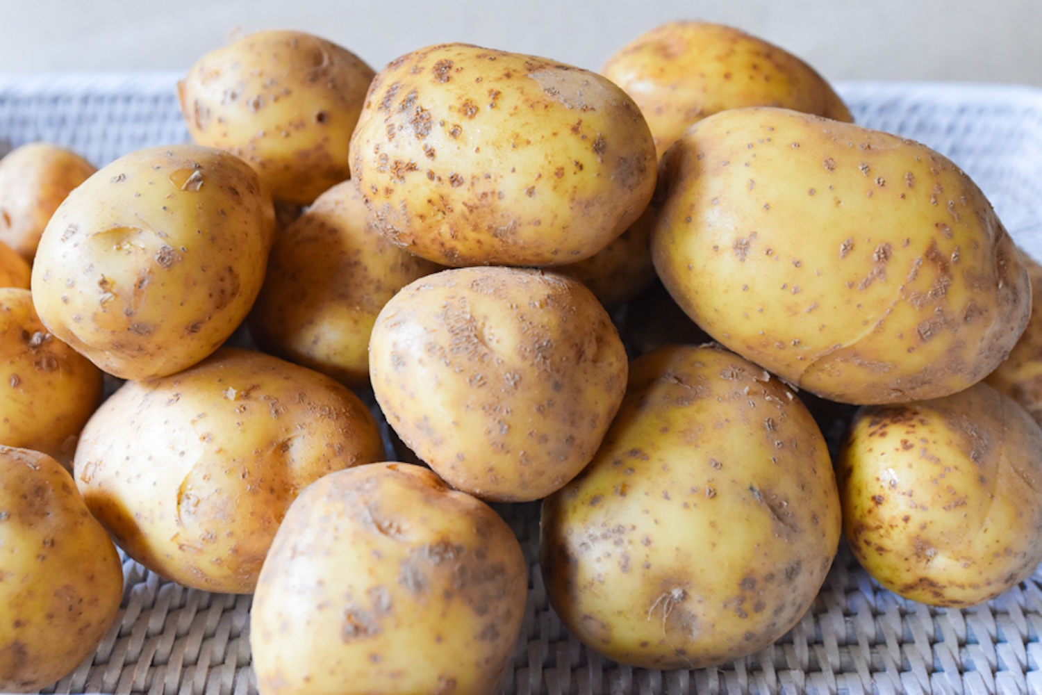 栽培期間中農薬不使用 じゃがいも 「ニシユタカ」｜3kg