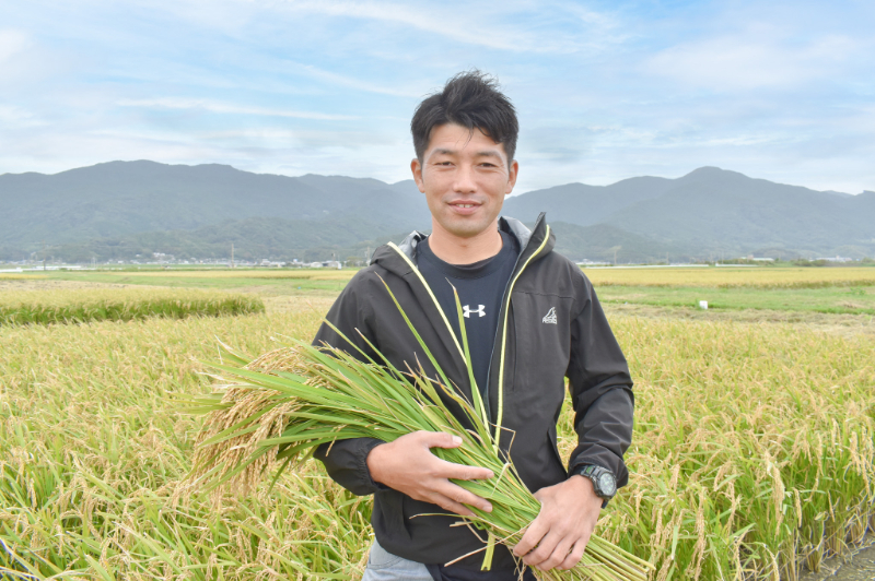 栽培期間中農薬不使用 「ひのひかり」 白米｜30kg