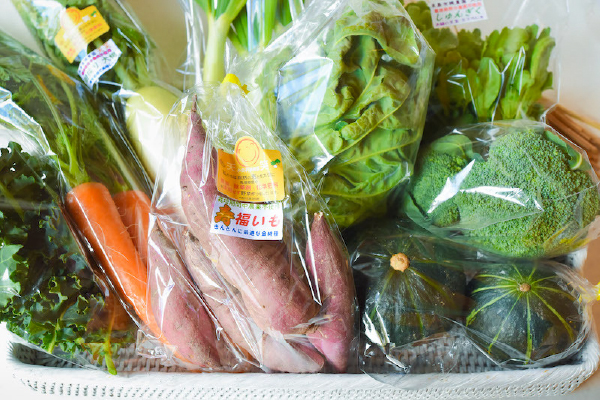 有機栽培 糸島の旬野菜セット｜L
