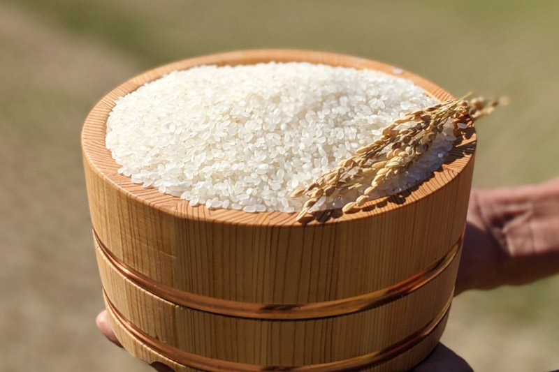 自然栽培 「ぴかまる」 白米｜3kg