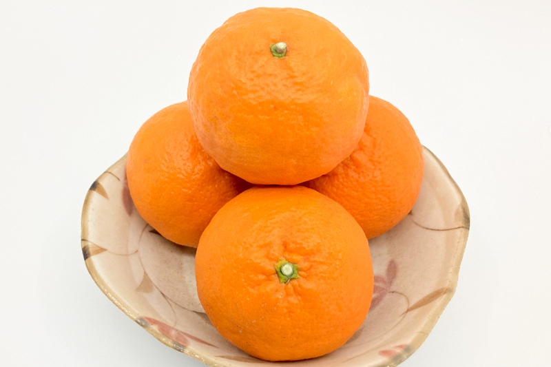 ＜再入荷待ち＞ 特別栽培 南津海(なつみ)みかん｜5kg