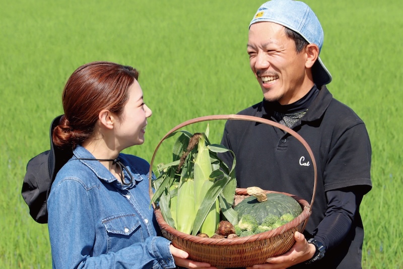 栽培期間中農薬不使用 「七城米・ひのひかり」白米｜3kg