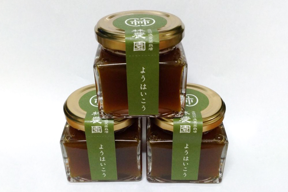 咳・のどをいたわる「養肺膏」3本セット