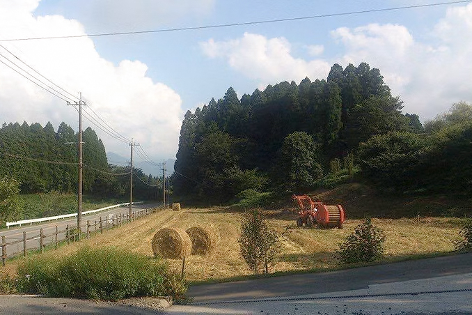 自家製ナチュラルチーズ サンモッツァ｜100g