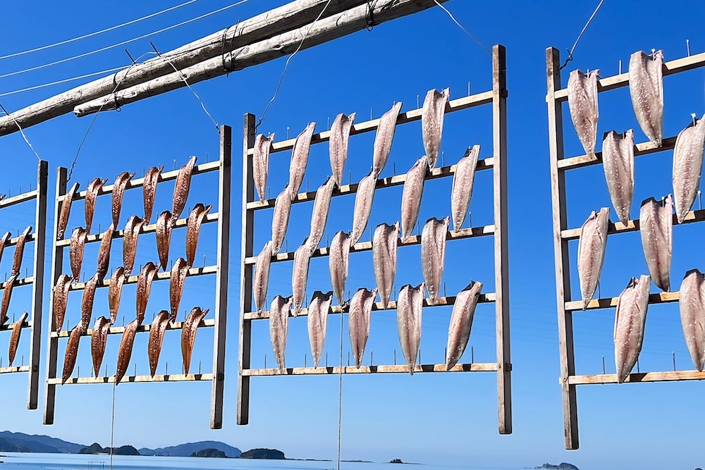 さばのさくら干し 塩｜3枚セット