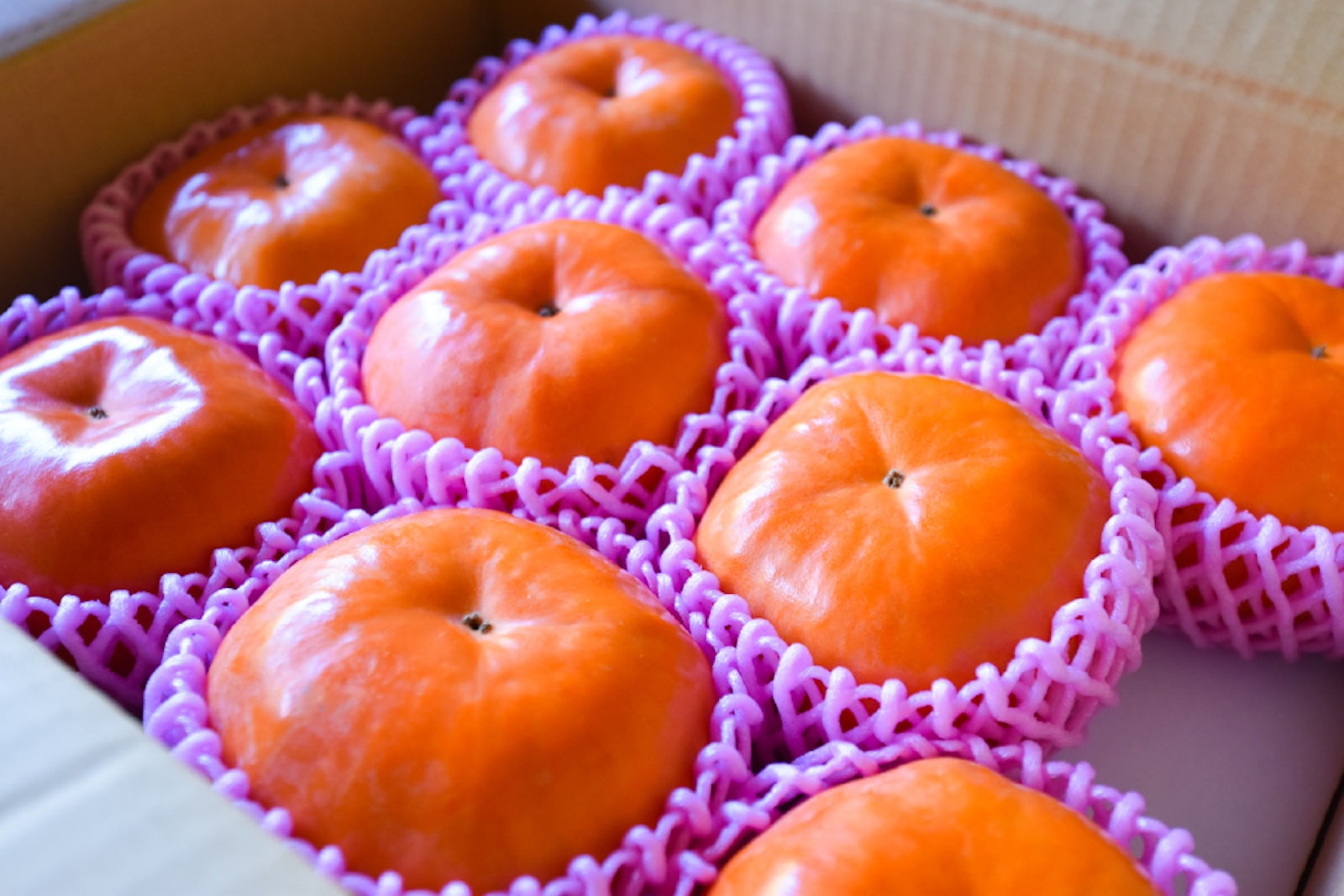 樹上完熟 早秋柿｜5kg