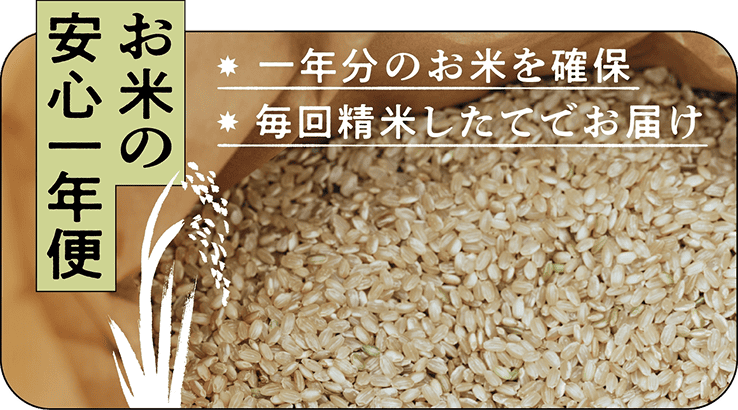 お米の安心一年便バナー