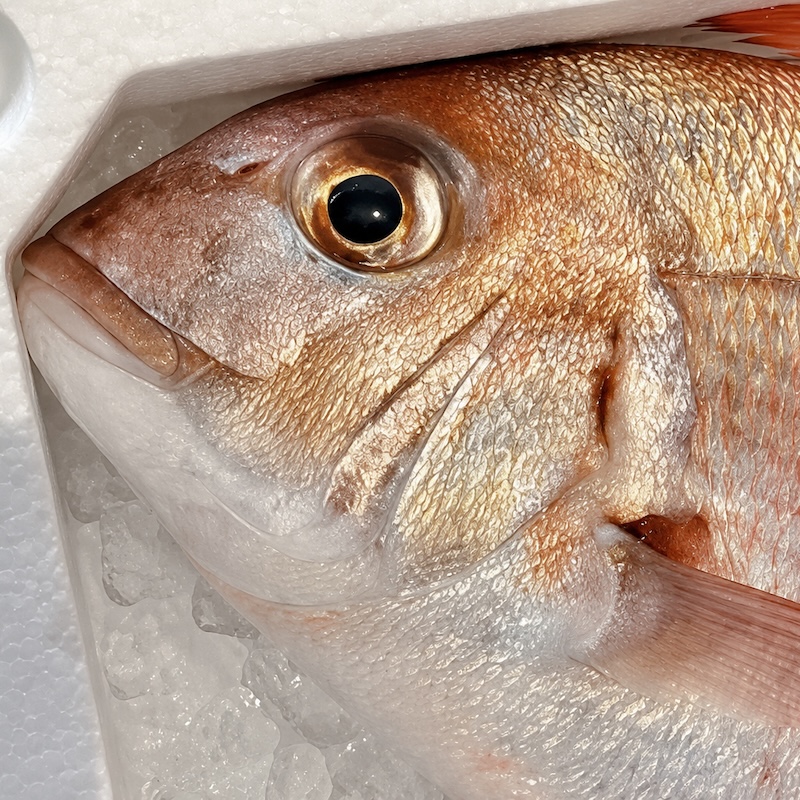 季節の天然魚 醤油漬け｜1パック（100g）