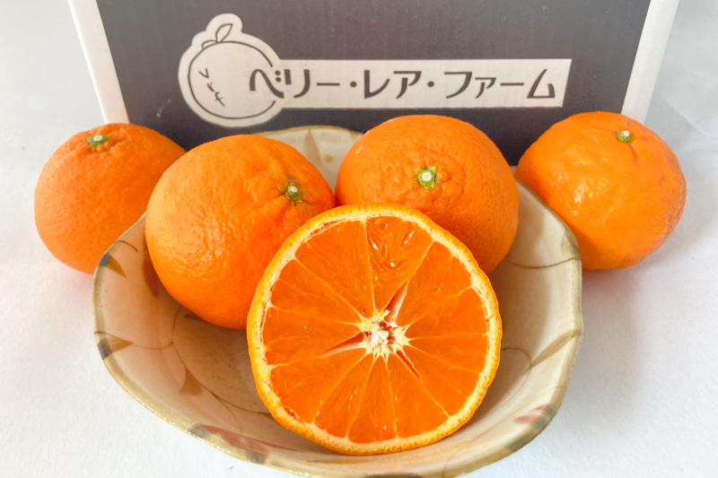 ＜再入荷待ち＞ 特別栽培 南津海(なつみ)みかん｜2.5kg