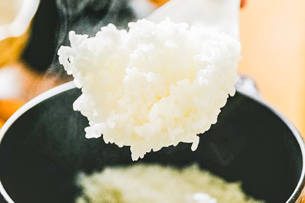 自然栽培 「にこまる」 白米｜10kg