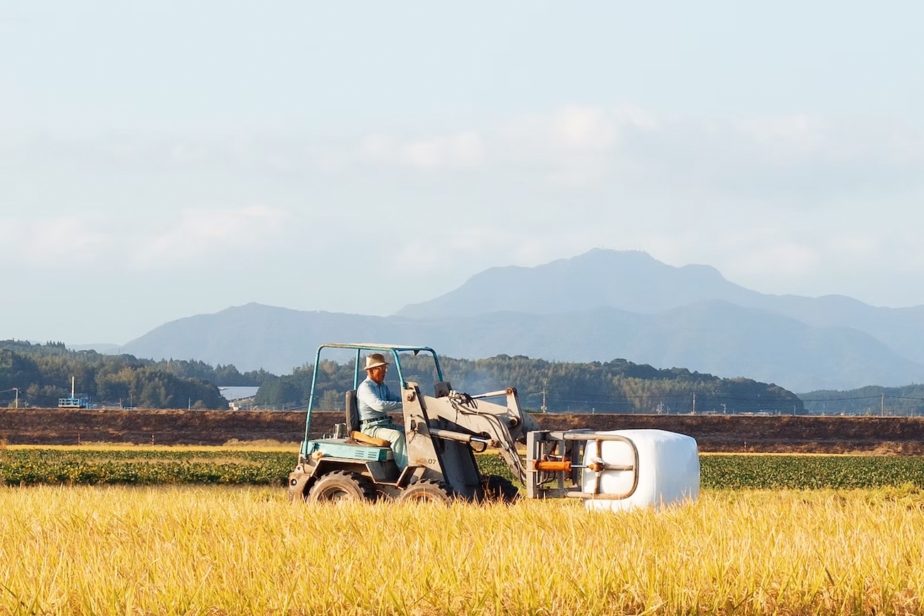 チーズトースト ゴーダ&モッツァレラMIX 100g｜冷凍