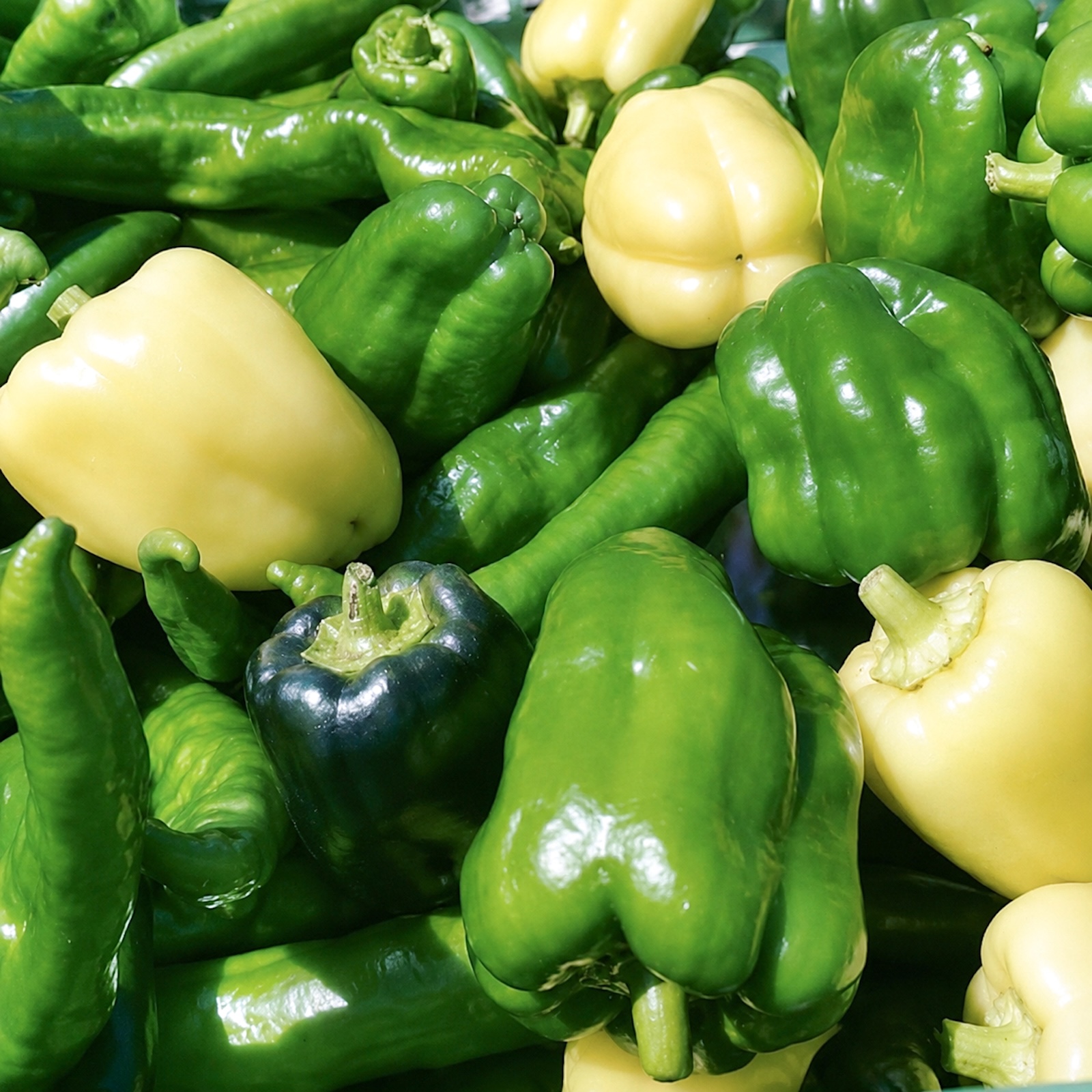 【月替わりおまかせ】野菜とフルーツの詰め合わせ MINORI BOX｜Sサイズ